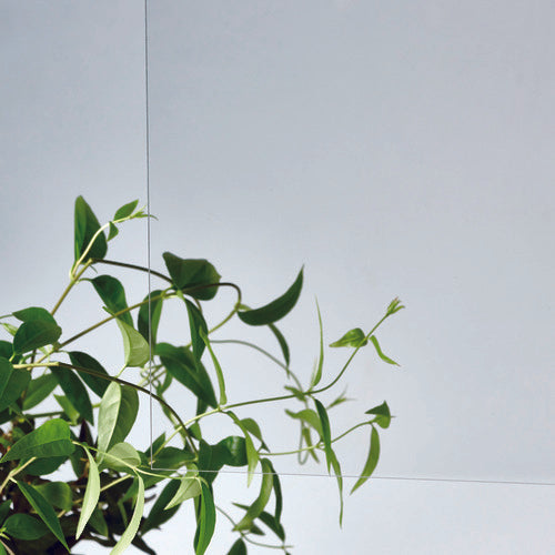 Acrylic Sunday Acrylic surface hardened transparent plate 180 x 320 x 2 mm MR2-001-SS-2 1 sheet