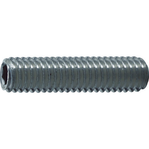 TRUSCO 육각구멍부착 고정나사 평끝 스테인리스 M3×3 60개입 B77-0303 1 PK