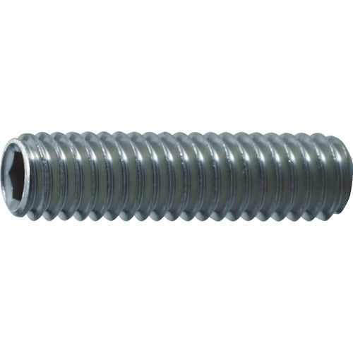 TRUSCO 육각구멍부착 고정나사 평끝 스테인리스 M4×4 55개입 B77-0404 1 PK