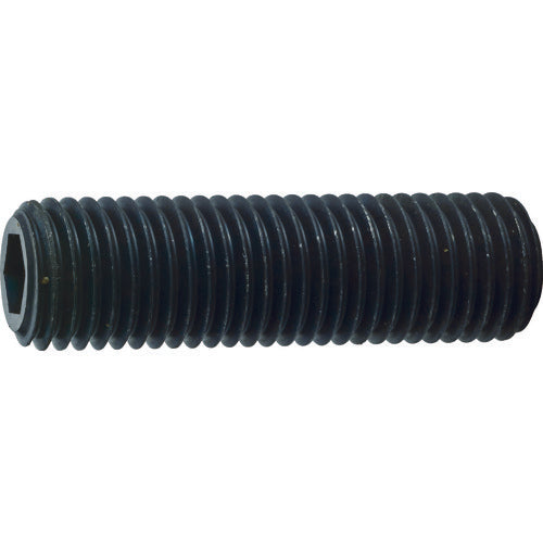 TRUSCO 육각구멍부착 고정나사 평끝 흑염색 M14×65 3개입 B63-1465 1 PK