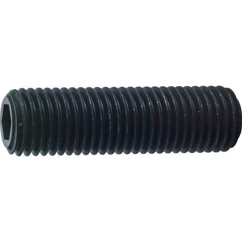 TRUSCO 육각구멍부착나사 나사 평끝 흑염색 M16×16