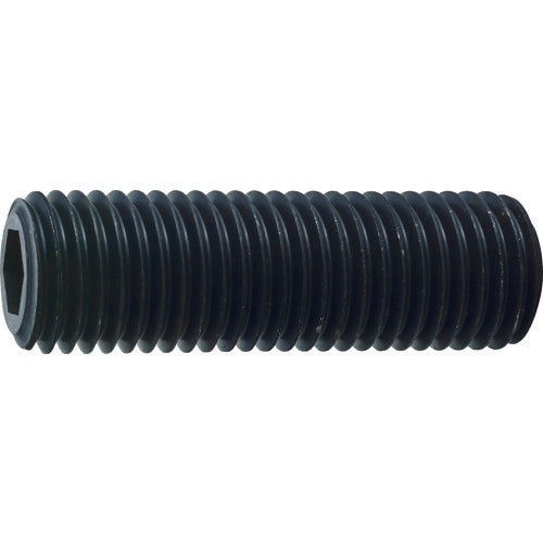 TRUSCO 육각구멍부착 고정나사 평끝 흑염색 M20×40 2개입 B63-2040