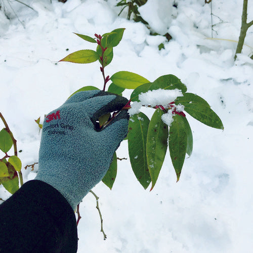 3M 컴포트 그립 엑스트라 웜 타입 S GLOVE WEX S 1 쌍