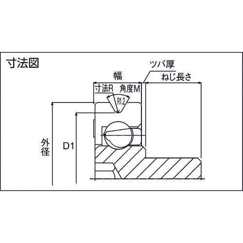 TOK 수지 베어링 DV-B-JH DV-22-B0.5-JH 1개
