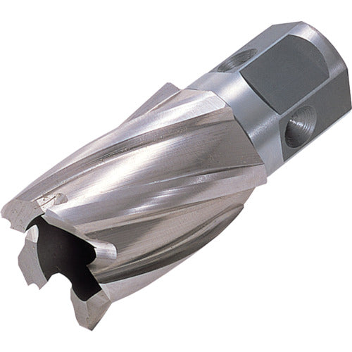 닛토 하이브로치 원터치 타입 23.5X25L 16285 NO.16285 1개