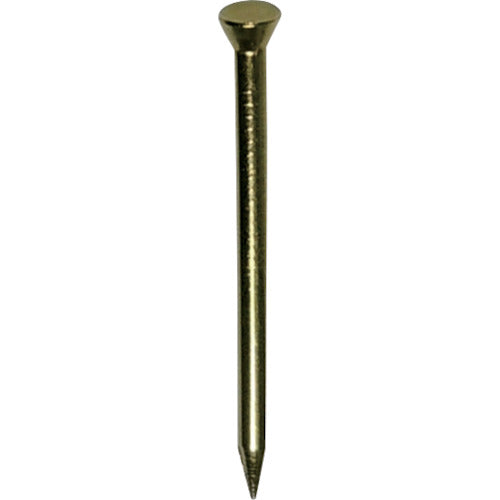 DAIDOHANT HP Brass Rail Nails 1.7 x 25 40pcs 10183132 1PK