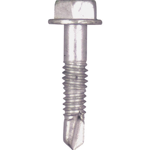 ＤＡＩＤОＨＡＮＴ　波板専用ビス　ステン座金　鉄下地用　５Ｘ２５　１２０本　00045923　1箱