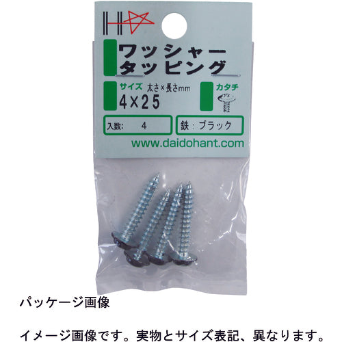 ＤＡＩＤОＨＡＮＴ　ＨＰ　ワッシャータッピング　黒　４×３２　４本入　10183925　1PK