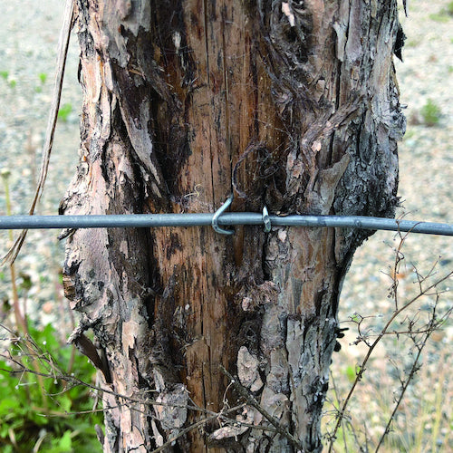 DAIDO HANT HP 2 Nails 1.2 x 19 80pcs 10183120 1PK