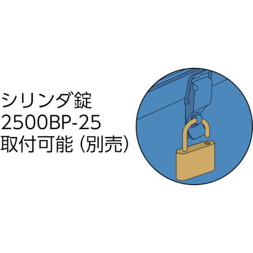 ＴＲＵＳＣＯ　トランク型工具箱　２０３Ｘ１０９Ｘ５６　ブルー　T-190　1 個