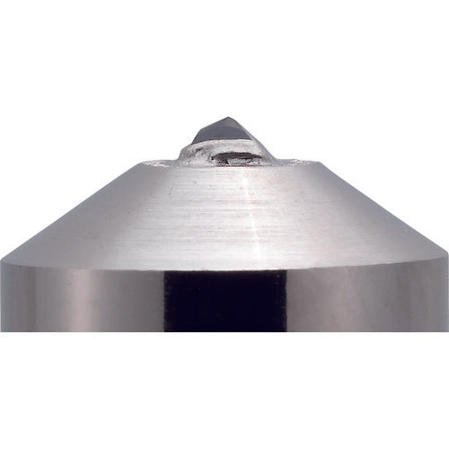 Noritake Single Stone Diamond Dresser G Sharp One Shank Diameter 10mm 4K0GONE010010 1 piece