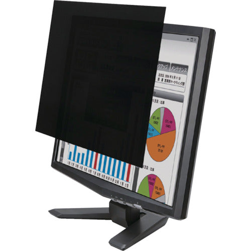 エレコム　薄いのぞき見防止フィルター　１７（５：４）インチ　EF-PFF17　1 枚