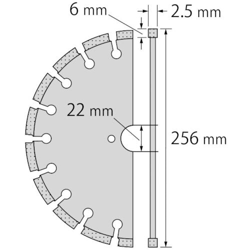 エビ　ダイヤモンド土木用ブレード　１０インチ　２２パイ（湿式）　AC1022　1 枚