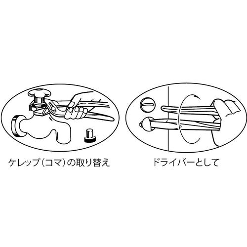 エビ　ポンププライヤー　アンギラス　２５０ｍｍ　WP250ND　1 丁