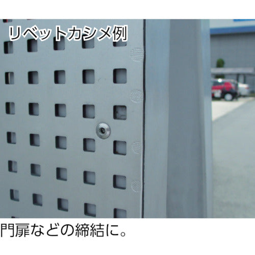 EBI blind rivets (aluminum/aluminum) 6-3 (1000 pieces) boxed NA63 1 box