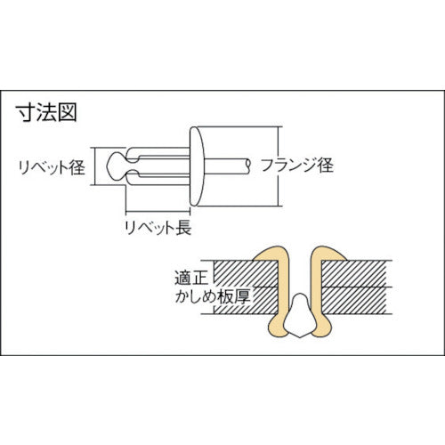 エビ　ブラインドリベット（ステンレス／ステンレス製）　３−２（１０００本入）　箱入　NST32　1箱