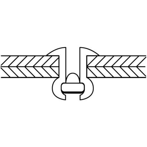 エビ　ブラインドリベット（スティール／スティール製）　４−６（１０００本入）　箱入　NS46　1箱