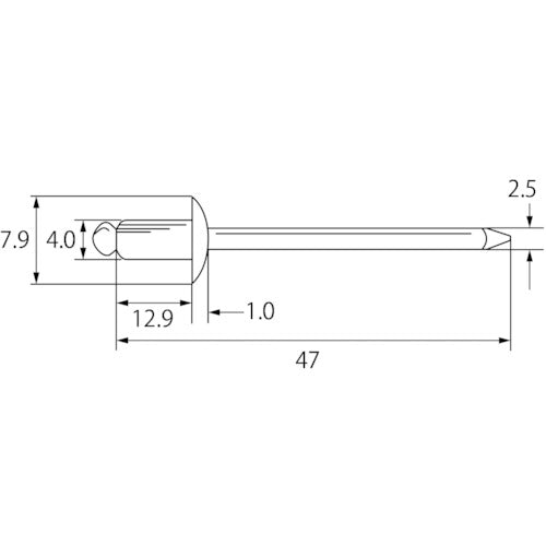 エビ　ブラインドリベット（ステンレス／スティール製）　５−６（１０００本入）　箱入　NSS56　1箱