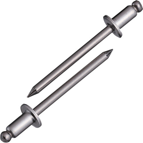 EBI blind rivets (stainless steel/stainless steel) 6-2 (1000 pieces) boxed NST62 1 box