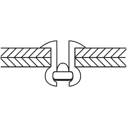 エビ　ブラインドリベット（ステンレス／スティール製）　６−６（１０００本入）　箱入　NSS66　1箱