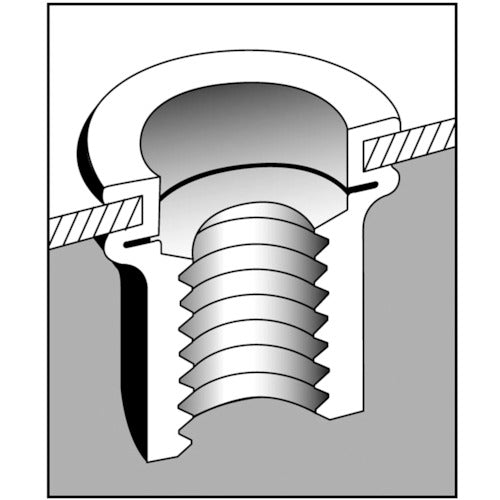 エビ　ブラインドナット“エビナット”（平頭・アルミ製）　板厚３．２　Ｍ５Ｘ０．８（１０００個入）　NAD5M　1箱