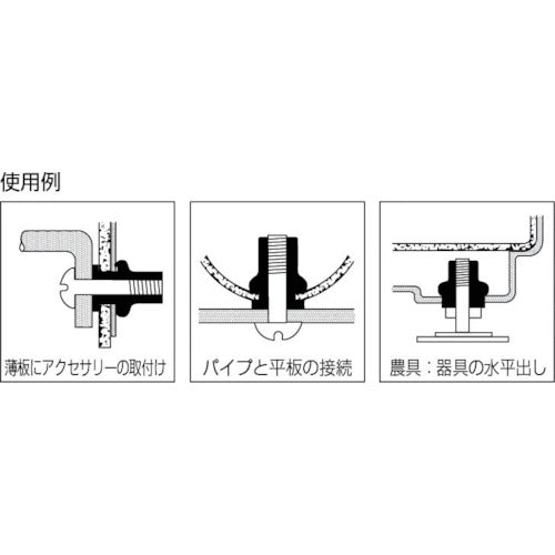 エビ　ブラインドナット“エビナット”（薄頭・ステンレス製）　板厚２．０　Ｍ１０×１．５（１００個入）　NTK10M　1箱