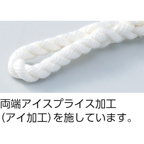 ＴＲＵＳＣＯ　ビニロントラックロープ　３つ打　線径１２ｍｍＸ長さ２０ｍ　TR-1220　1 巻