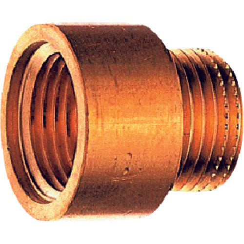 ＳＡＮＥＩ　多角穴ザルボ　T22-13X15　1 個