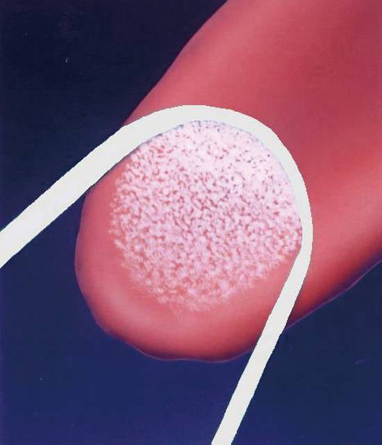 Unilock Clean Tongue Economy Natural