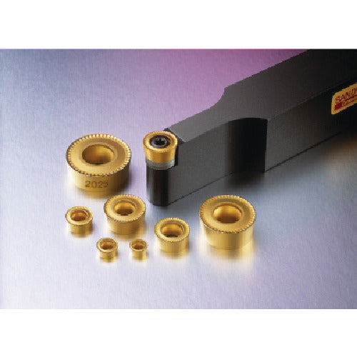 Sandvik Coromant 107 Shank Bit for Positive Insert (210) SRDCN 2525M 12-A 1 piece