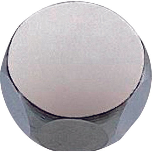 SANEI Cap Nut B41A-24-13 1 pc