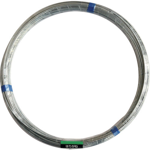 DAIDOHANT 철사 5Kg 권 #10 10155459 1 권