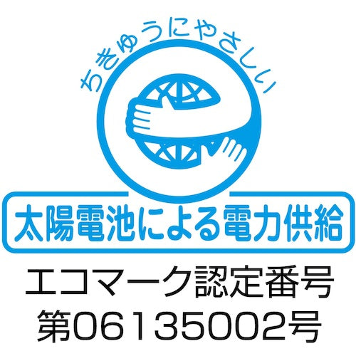 Casio Just Type Calculator JF-100GT-N 1 unit