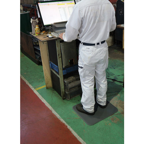 ＣＡＲ−ＢＯＹ　足腰マットラウンドコーナータイプ４５０ｘ５００　グレー　AM-455012GY　1 枚