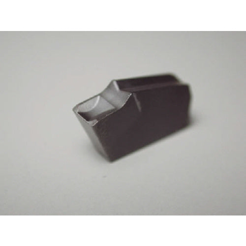 이스컬 셀프 그립 칩 GTN IC354 GTN 2 10 pcs