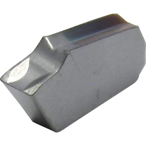이스컬 셀프 그립 칩 GTR/L-D IC20 GTR 2 - 8D 10개