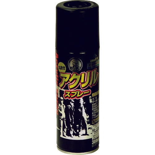Asahipen BIGPRO Acrylic Spray 300ml Matte Black 605153 1 bottle