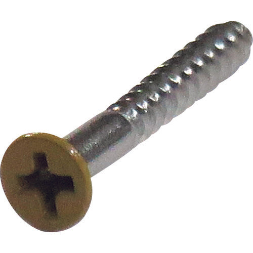 DAIDOHANT Screw Color Stainless Steel Wood Screw Countersunk Head 2.7 x 20 Beige (16 Pieces) 10179108 1 PK