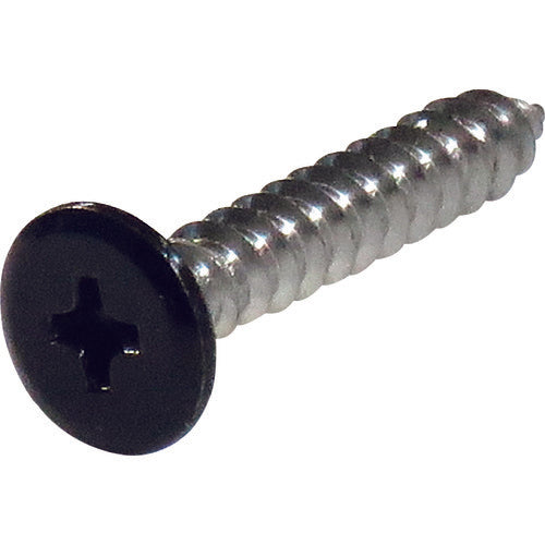ＤＡＩＤОＨＡＮＴ　ネジカラー　ステンレス低頭タッピング　３ｘ１２黒（８本）　10179137　1 PK