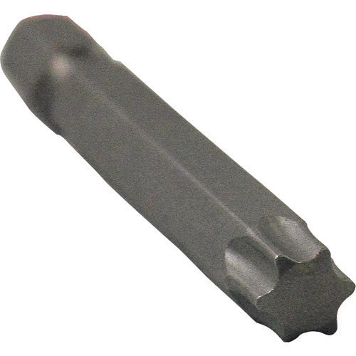 DAIDOHANT VP Long Screw Bit (Hexlobe) T40 L=65mm 1pc 10175475 1 bag