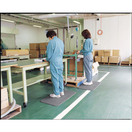 Teramoto Standing Mat 2 Gray 500 x 600 mm MR-062-522-5 1 piece