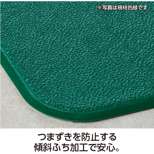 Teramoto Standing Mat 2 Gray 500 x 600 mm MR-062-522-5 1 piece