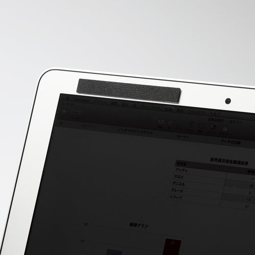 エレコム　のぞき見防止フィルター（取外し式マグネットタイプ）　EF-PFM125W　1 枚