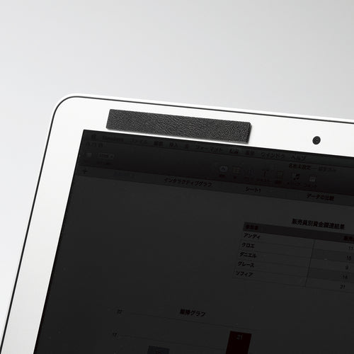 エレコム　のぞき見防止フィルター（取外し式マグネットタイプ）　EF-PFM133W2　1 枚