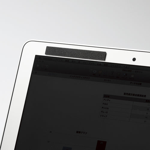 ELECOM Privacy Filter (Removable Magnetic Type) EF-PFM156W 1 Piece