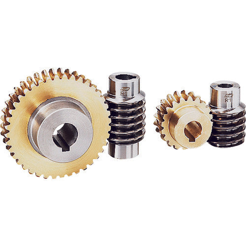 ＫＧ　ウォーム　Ｗ２Ｓ　Ｒ２−Ｂ　モジュール２．０　圧力角２０度（並歯）　Ｓ４５Ｃ　精密転造仕上　W2S R2-B　1 個