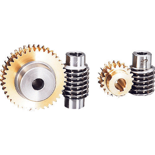 KG Worm Wheel G1.5A 40L2-M-12 G1.5A 40L2-M-12 1 piece