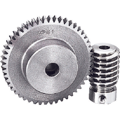 KG Worm Wheel G1C 50+R1 Module 1.0 Pressure angle 20 degrees (straight teeth) G1C 50+R1 1 piece