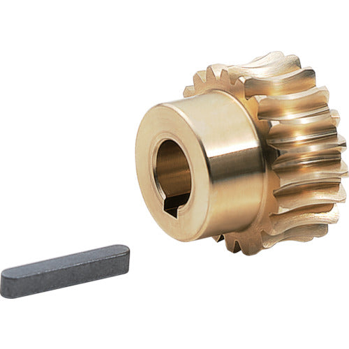 KG Worm Wheel G2A 20R1=15 Module 2.0 Pressure angle 20 degrees (straight teeth) G2A 20R1=15 1 piece