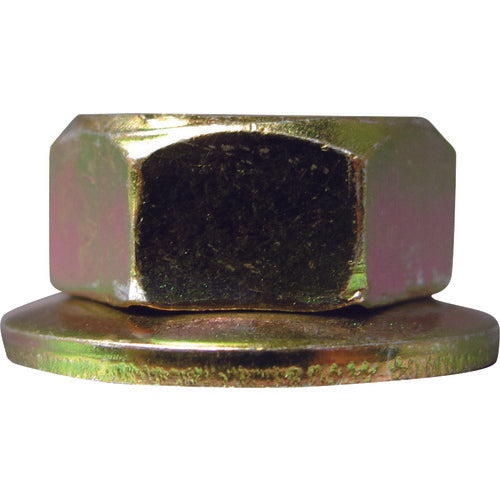 ＤＡＩＤОＨＡＮＴ　ＨＰ　刈払機用左ナット　Ｍ８　（１個入）　10186407　1 PK